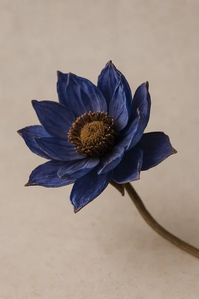 Die Geschichte des Blauen Lotus - Von Ägypten bis heute