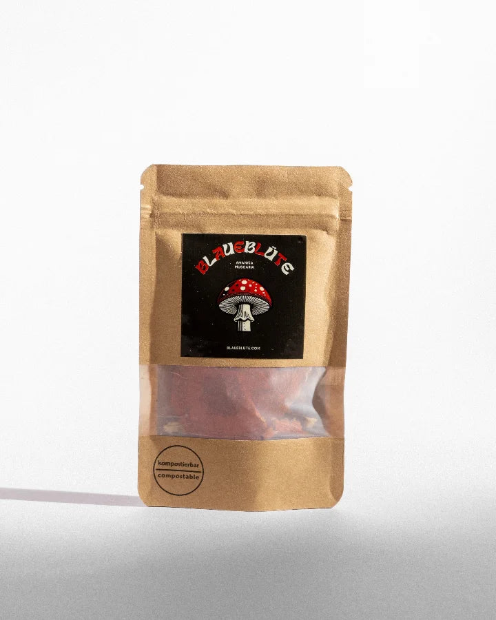 Fliegenpilz - Amanita Muscaria